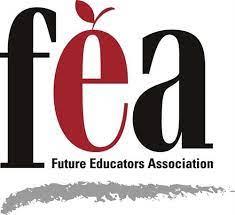  FEA logo